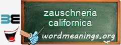 WordMeaning blackboard for zauschneria californica